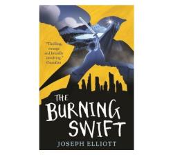 The Burning Swift Shadow Skye Book Three Paperback Softback