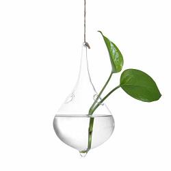 Hanging Vase Plant Terrarium Container Flower Planter Wall Planter For Hydroponic And Air Plants Clear D