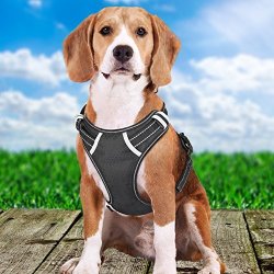 holuck dog harness