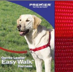 premier easy walk harness