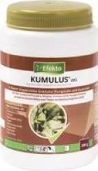 Kumulus Wg Fungicide Efekto 200G