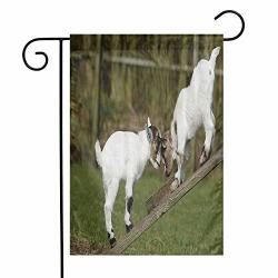Animal Printed Garden Flag Two Cute Little Baby Goats On A Bench With Their Horns Picture Image Design Double-sided Printing Use It In Any