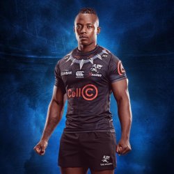 Canterbury Sharks Black Panther Super Rugby Jersey - L