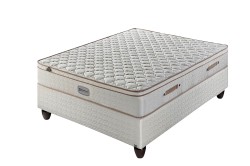 Sealy Posturepedic Queen Sealy Avignon Firm Standard Mattress-only