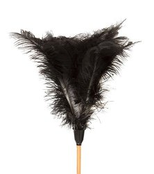 Short Feather Duster Prices | Shop Deals Online | PriceCheck