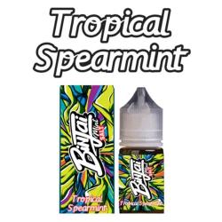 Binjai Tropical Spearmint Nic Salt E-liquid 30ML 25MG