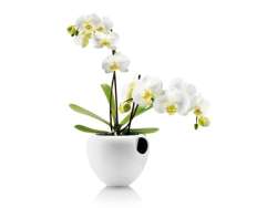 Eva Solo Self-watering Orchid Pot White