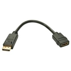 Displayport M To HDMI F Cable