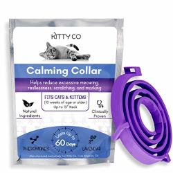 Calming Collar For Cats Cat Anxiety Relief With Pheromones Cat Calming Products For Kittens 60 Day Supply 1 Collar
