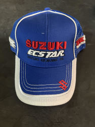 Suzuki Ecstar Blue