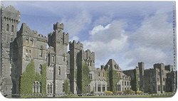 Irish Castles Leather Checkbook Cover