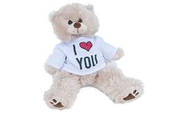i love you teddy bear for boyfriend