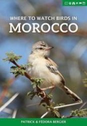 Where To Watch Birds In Morocco Where To Watch Guides