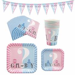 65 Piece Pink And Blue Gender Reveal Party Supplies Disposable Paper Tableware Set Including Banner Plates Cups Napkins Serves 16
