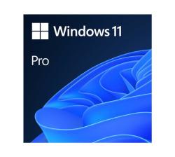 Windows 11 Pro DVD Single User License