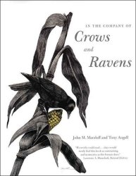In the Company of Crows and Ravens by Dr. John M. Marzluff