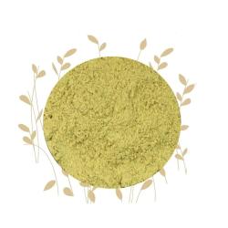 Dried Fennel Seed Powder Foeniculum Vulgare - 100G