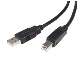 Startech.com 3-FEET USB 2.0 Certified A To B Cable - M m USB2HAB3