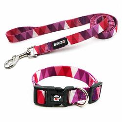 Azuza Dog Collar And Leash Set Adjustable Nylon Collar With Matching Leash Purple Flag Large
