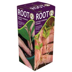Root NO.2