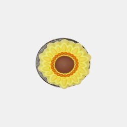 Crocs Sunflower - Ns