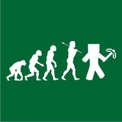 MINECRAFT Evolution Mens T-Shirt Bottle Green XL