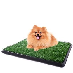 grass patch for dogs
