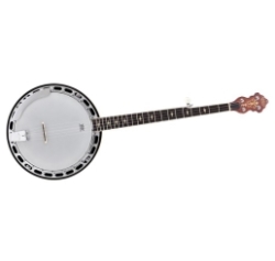 Ibanez B200 5-string Banjo