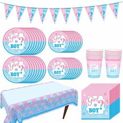 66 Piece Pink And Blue Gender Reveal Party Supplies Disposable Paper Tableware Set Including Banner Plates Cups Napkins Table Cover Serves 16