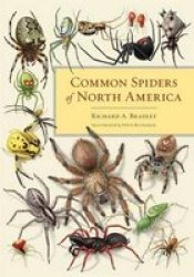 Common Spiders Of North America hardcover