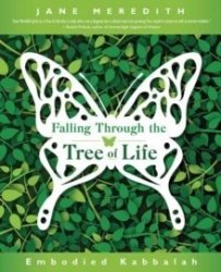 Falling Through The Tree Of Life - Jane Meredith Paperback