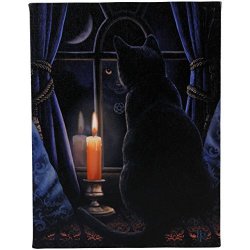 Small Midnight Vigil Canvas Picture By Lisa Parker