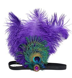 Aniwon Flapper Headband Feather Headband With Rhinestone Decoration