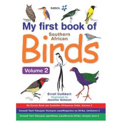 No Brand My First Book Of Southern African Birds