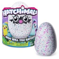 Spinmaster Hatchimals Pengualas - Teal Egg