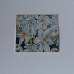 Narcissi - Limited Edition Giclee Print On Imported Canvas - Signed By Artist Arlene Mcdade