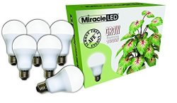 6-Pack MiracleLED 602009 Almost Free Energy MAX Replacing 100W AFE Bug Light Amber Glow