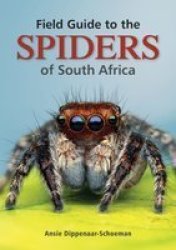 Field Guide To The Spiders Of South Africa Paperback