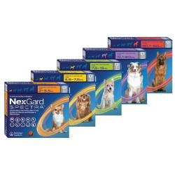 Nexgard Spectra For Dogs - Single 3.6-7.5KG Small Yellow