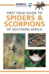 Nt Ffg: Spiders & Scorpions Ne