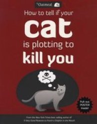How To Tell If Your Cat Is Plotting To K