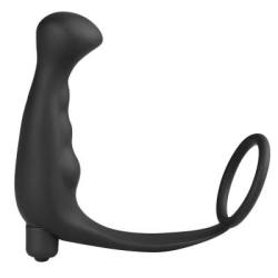 Cock Ring And Anal Prostate Massager Combo
