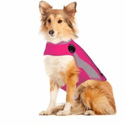 Polo Thundershirt Dog Anxiety Shirt - Pink Large Calming Solution Waggs Pet Shop