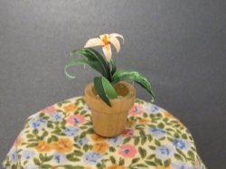 Miniature Dollhouse 1 12" Pot Plants - Hand Made - Table Not Included
