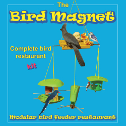 Bird Restaurant - Four Bird Feeders In One Kit