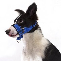 dog muzzle lead