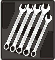 Tray 5 Piece Combination Spanners 24-32MM