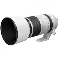 Canon Rf 100-500MM F 4.5-7.1L Is Usm Lens