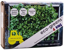 Eco-greens 4KIDS Superfood Growing Kit: Micro-broccoli