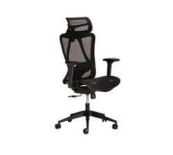 Ergonomic Luxury Executive Office Chair 360M - Black